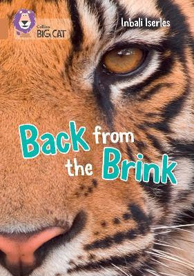 Back from the Brink(English, Paperback, Iserles Inbali)