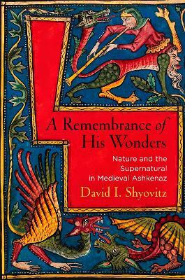 A Remembrance of His Wonders(English, Electronic book text, Shyovitz David I.)
