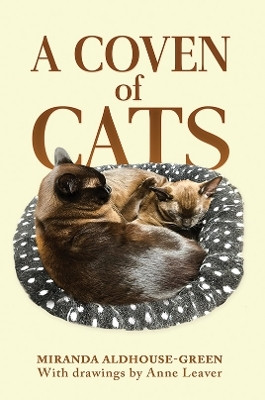A Coven of Cats(English, Paperback, Aldhouse-Green Miranda)