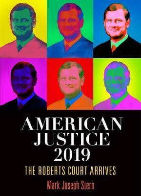 American Justice 2019(English, Hardcover, Stern Mark Joseph)