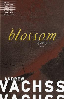 Blossom(English, Paperback, Vachss Andrew)