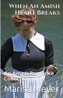 When An Amish Heart Breaks(English, Paperback, Meyer Marisa)