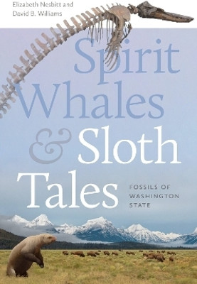 Spirit Whales and Sloth Tales(English, Paperback, Nesbitt Elizabeth A.)