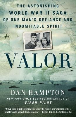 Valor(English, Paperback, Hampton Dan)