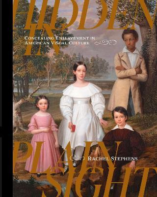Hidden in Plain Sight(English, Hardcover, Stephens Rachel)