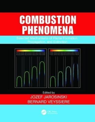 Combustion Phenomena(English, Paperback, unknown)