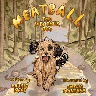 Meatball the Weather Dog(English, Paperback, Nave Laurie)
