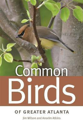 Common Birds of Greater Atlanta(English, Paperback, Wilson Jim)