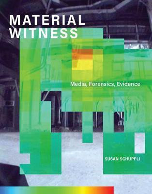 MATERIAL WITNESS(English, Hardcover, Schuppli Susan)