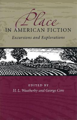 Place in American Fiction(English, Hardcover, unknown)