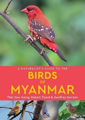 A Naturalist's Guide to the Birds of Myanmar(English, Paperback, Tizard Robert)