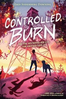 Controlled Burn(English, Hardcover, Downing Erin)