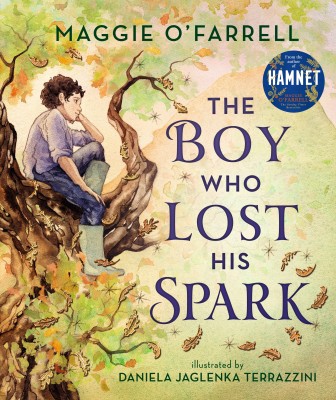 The Boy Who Lost His Spark(English, Hardcover, O'Farrell Maggie)