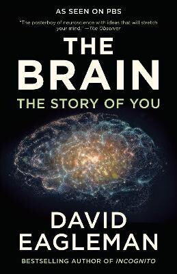 The Brain(English, Paperback, Eagleman David)