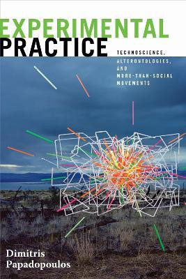 Experimental Practice(English, Paperback, Papadopoulos Dimitris)