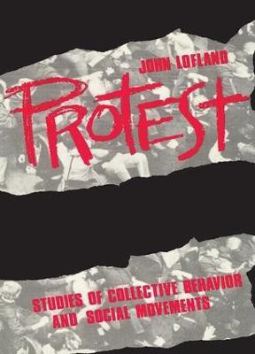 Protest(English, Paperback, Lofland John)