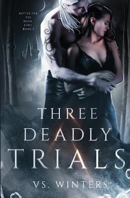 Three Deadly Trials(English, Paperback, Winters V S)
