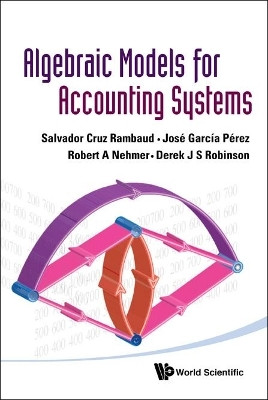 Algebraic Models For Accounting Systems(English, Hardcover, Nehmer Robert A)
