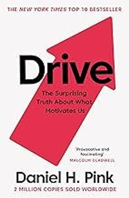 Drive: The Surprising Truth About What Motivates Us(Paperback, Daniel H. Pink)
