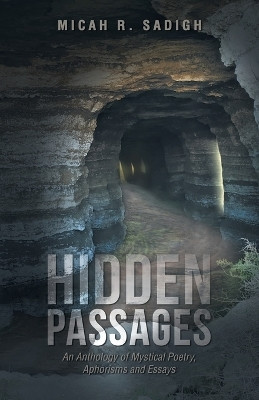 Hidden Passages(English, Paperback, Sadigh Micah R)