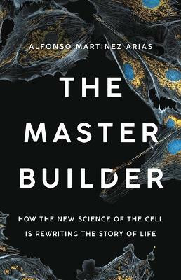The Master Builder(English, Hardcover, Martinez Arias Alfonso)