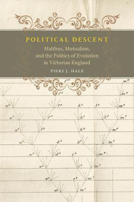 Political Descent(English, Hardcover, Hale Piers J.)
