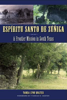 Espiritu Santo de Zuniga(English, Paperback, Walter Tamra Lynn)
