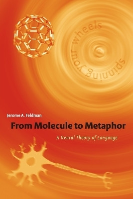 From Molecule to Metaphor(English, Paperback, Feldman Jerome)