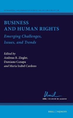Business and Human Rights(English, Hardcover, unknown)