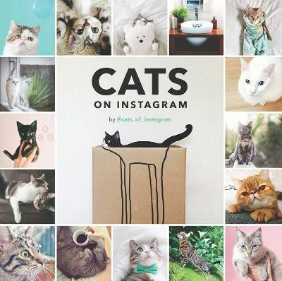 Cats On Instagram(English, Hardcover, unknown)