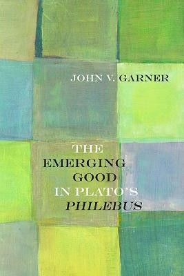 The Emerging Good in Plato's Philebus(English, Paperback, Garner John V.)