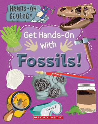 Hand-On Geology Fossils And Rocks And Minerals(Paperback, Alix Wood)