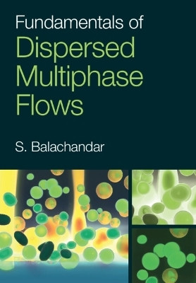 Fundamentals of Dispersed Multiphase Flows(English, Hardcover, Balachandar S.)