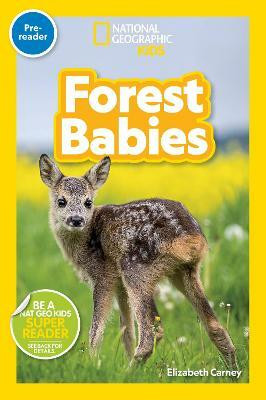 Forest Babies (Pre-Reader)(English, Paperback, Weglinski Michaela)