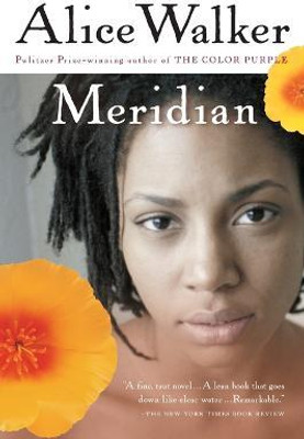 Meridian(English, Paperback, Walker Alice)