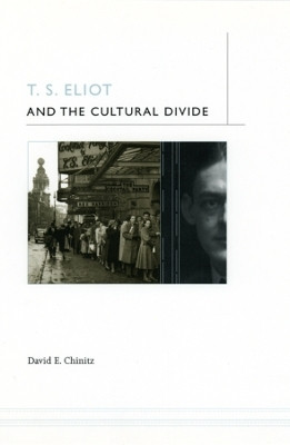 T. S. Eliot and the Cultural Divide(English, Paperback, Chinitz David E.)