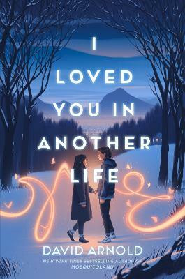 I Loved You in Another Life(English, Hardcover, Arnold David)