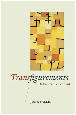 Transfigurements(English, Paperback, Sallis John)