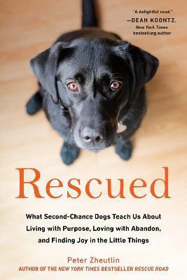 Rescued(English, Paperback, Zheutlin Peter)