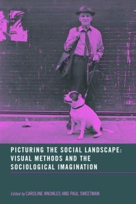 Picturing the Social Landscape(English, Paperback, Knowles Caroline)