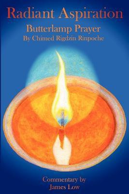 Radiant Aspiration(English, Paperback, Low James)