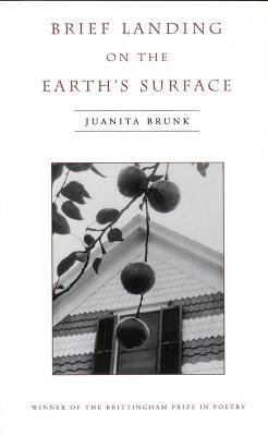 Brief Landing on the Earth's Surface(English, Paperback, University of Wisconsin Press)