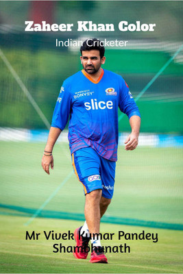 Zaheer Khan Color  - Indian Cricketer(English, Paperback, Mr Vivek Kumar Pandey)
