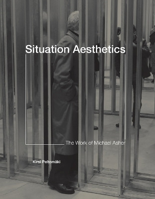 Situation Aesthetics(English, Paperback, Peltomaeki Kirsi)