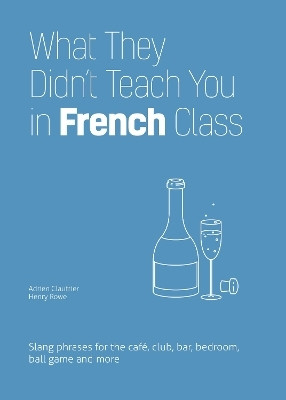 What They Didn't Teach You in French Class(English, Paperback, Clautrier Adrien)