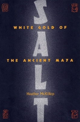SALT: WHITE GOLD of the ANCIENT MAYA(English, Paperback, University Press of Florida)