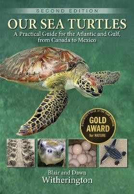 Our Sea Turtles(English, Paperback, Witherington Blair)