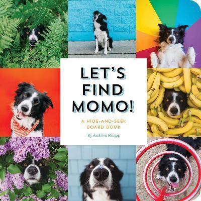 Let's Find Momo!(English, Board book, Knapp Andrew)