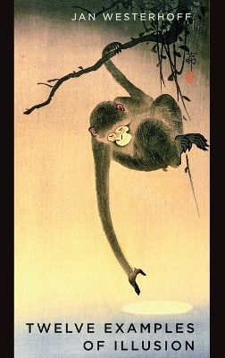 Twelve Examples of Illusion(English, Hardcover, Westerhoff Jan)