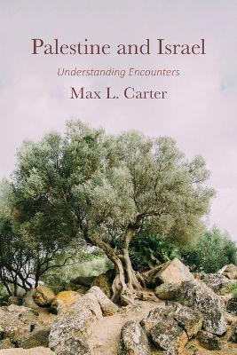 Palestine and Israel(English, Paperback, Carter Max L)